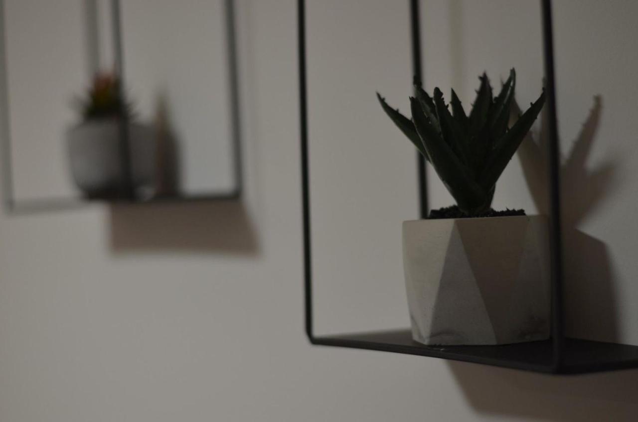 Apartman N&A Novi Sad Esterno foto
